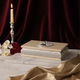 VYOM CURATIONS Precious Items BOX- GS- 024 19 in × 8 in × 5 in Silver- Plated Metal